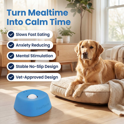 PawTheory Pup Bowl 2.0