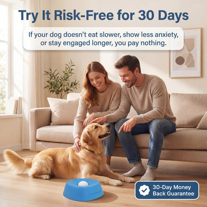 PawTheory Pup Bowl 2.0